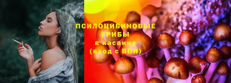 blacksprut ссылки  наркотики  Новотроицк  Галлюциногенные грибы прущие грибы 